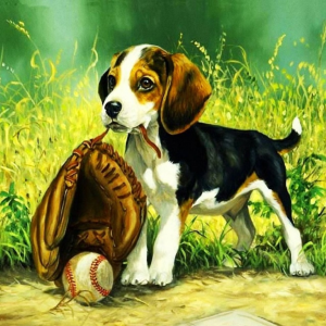 Diamond painting baseball hond